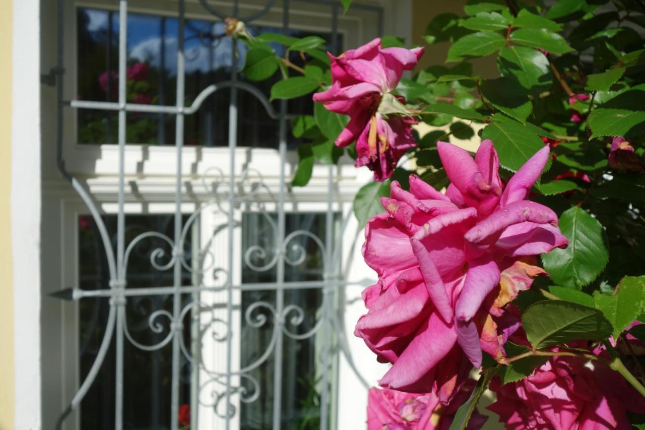 Villa Sonnenstrahl Mariánské Lázně Kültér fotó