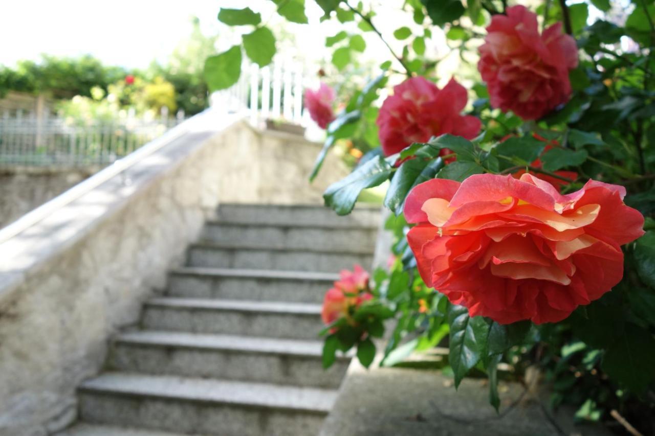 Villa Sonnenstrahl Mariánské Lázně Kültér fotó